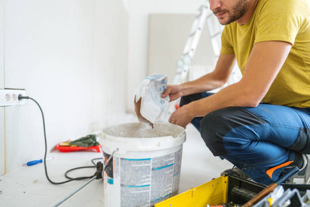Best Mold Damage Restoration  in Discovery Bay, CA